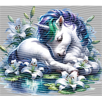 Rainbow Horse-RH 489